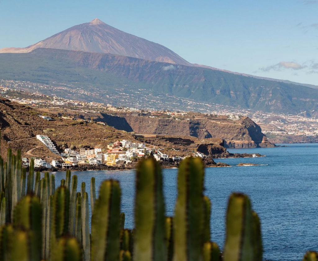 Las mejores rutas enológicas por Tenerife