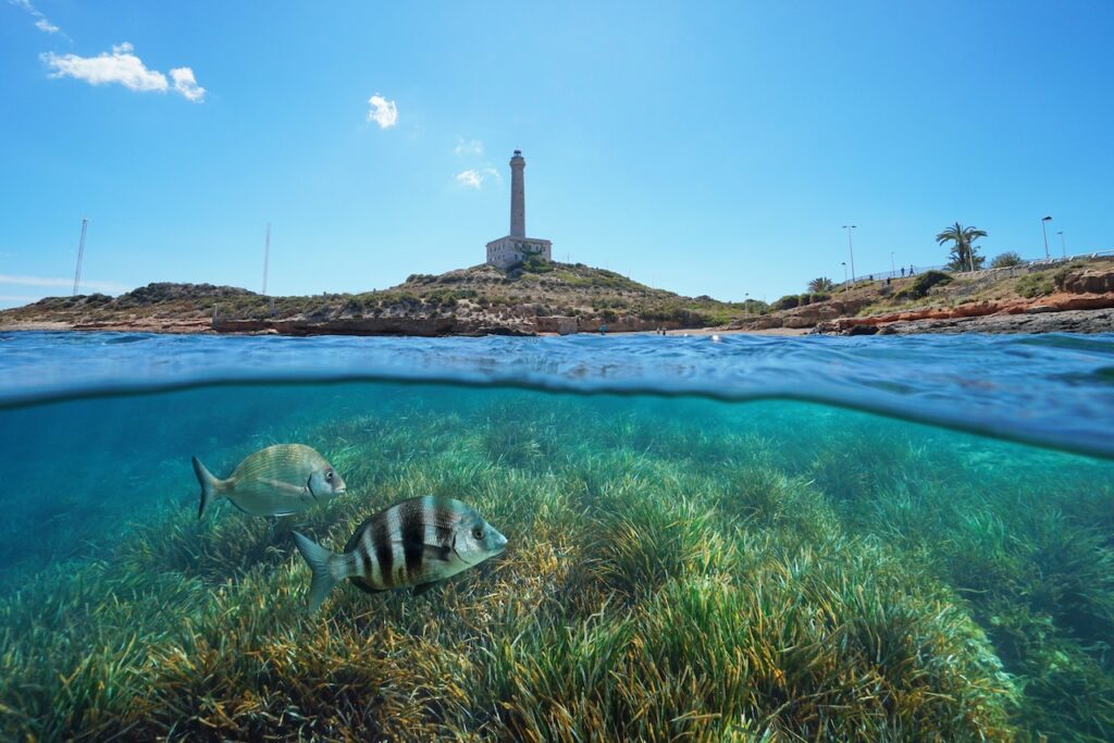 Destinos de viajes para los amantes del buceo y snorkel en España