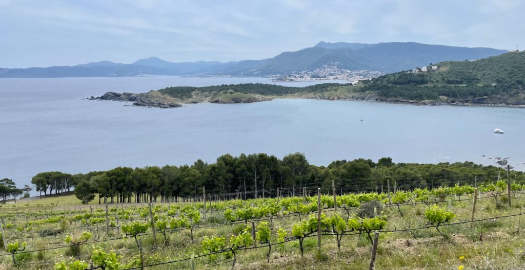 Tours de vinos en España: Finca Garbet, Perelada