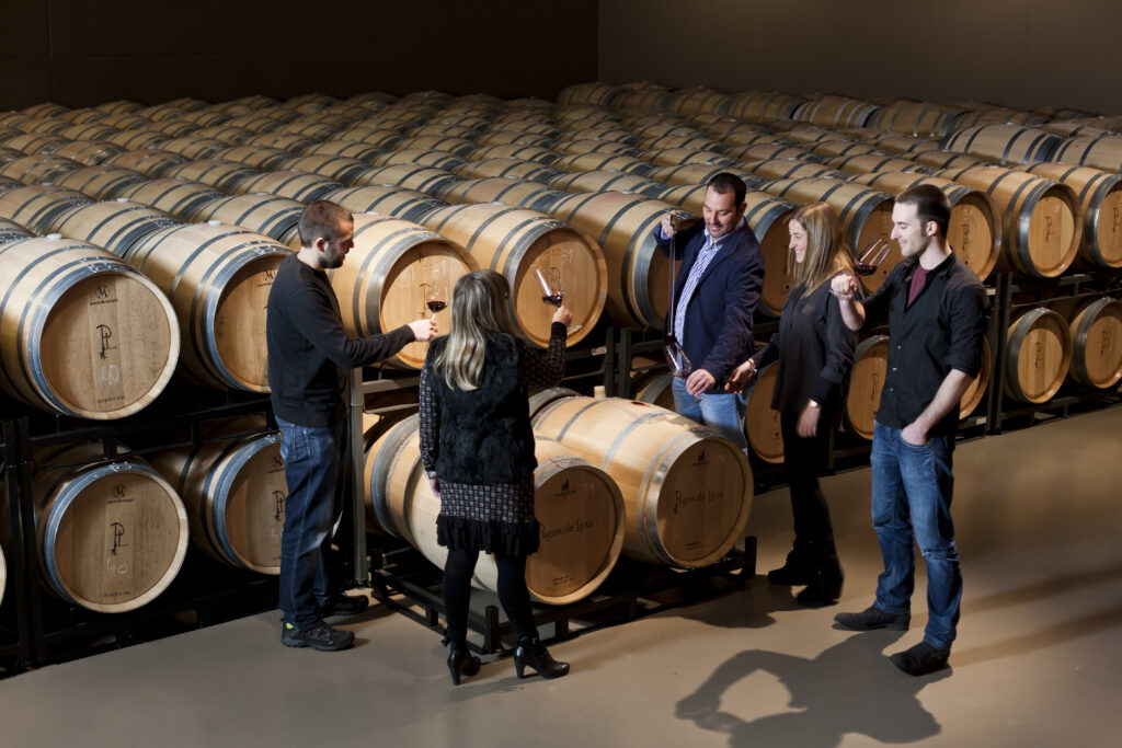 Recorre la ruta del vino de Rioja Alavesa