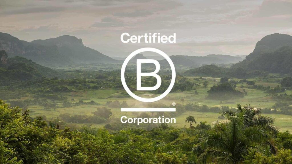 ¿Qué es el sello B Corp? 6 marcas españolas que tienen sello B Corp 